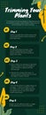 Green Yellow Creative Leves Tutorial Triming Plants Infographic