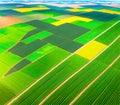 A green and yellow farm land crop field seen from above