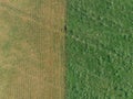 Farmland overlook by drone DJI mavic mini