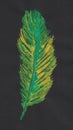 Green and yellow feather painted with acrylics