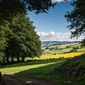 Green and yellow fields with blue sky and clouds in the peak district, English countryside. Summer Day in the UK made