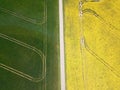 Green and yellow fields from sky with road in the middle