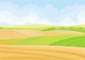 Green and yellow fields. Vector illustration on white background.