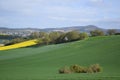 green and yellow fields at the wave shaped hillside Royalty Free Stock Photo