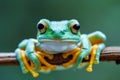 Green and yellow frog with big eyes sitting on branch. Generative AI Royalty Free Stock Photo