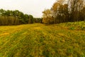 Green and yellow grassy meadow with yellow flowers and trees  autumn Royalty Free Stock Photo