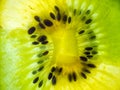 Green and yellow kiwi slices chunk arranged Royalty Free Stock Photo