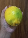 Green yellow lemon wonosobo Royalty Free Stock Photo
