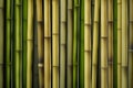 Green, yellow and natural bamboo canes, environmentally friendly and sustainable material, generative AI Royalty Free Stock Photo