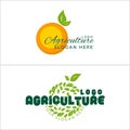 Agriculture nature organic fruit orange logo design