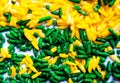 Green and yellow paited rice close up selected focus Royalty Free Stock Photo