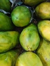 green and yellow papaya fruit neatly arranged Royalty Free Stock Photo