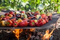 Green and yellow peppers grilling on a BBQ Royalty Free Stock Photo