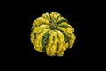 Green- yellow pumpkin on black background Royalty Free Stock Photo