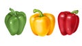 Green, yellow and red bell pepper, hand drawn illustration