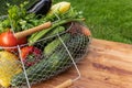 Green, yellow and red vegetables in a metal basket on a brown wooden board on a background of green grass Royalty Free Stock Photo