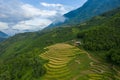 The green and yellow rice terraces at the foot of the green mountains, in Asia, Vietnam, Tonkin, Sapa, towards Lao Cai, in summer Royalty Free Stock Photo