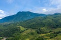 The green and yellow rice terraces at the foot of the green mountains, in Asia, Vietnam, Tonkin, Sapa, towards Lao Cai, in summer Royalty Free Stock Photo