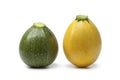 Green and yellow round zucchini Royalty Free Stock Photo