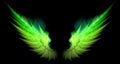 Green and yellow sharp wings
