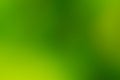 Green and yellow smooth and blurred wallpaper / background
