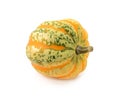 Green and yellow striped Festival squash