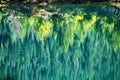 Green Yellow Trees Fall Reflection Gold Lake