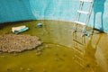 Green yellow water in swimming pool, problem service concept. Dirty abandoned pool Royalty Free Stock Photo