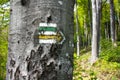 Green, yellow and white hiking trail Royalty Free Stock Photo