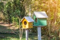 Green and Yellow wooden birdhouse on post in the garden on summer or spring sunshine with natural green leaves background Royalty Free Stock Photo