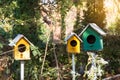 Green and Yellow wooden birdhouse on post in the garden on summer or spring sunshine with natural green leaves background Royalty Free Stock Photo