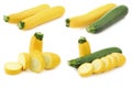 Green and yellow zucchini Cucurbita pepo