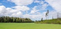 Green young cereal in field, forest and white clouds on blue sky in the summer Royalty Free Stock Photo