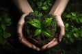 Green young plant in hands, spring abstract background. Generative AI