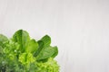 Green young salad leaves on white wood board, top view, copy space.