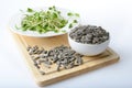 Green young sunflower sprouts on salad plate and sunflower seeds Royalty Free Stock Photo