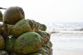 Green /young / unripened coconuts full of coconut water on beach with background as sea Royalty Free Stock Photo