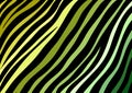 Green zebra stripes background pattern wallpaper for use with designs Royalty Free Stock Photo