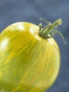 Green zebra tomato Royalty Free Stock Photo
