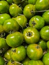 Green zebra tomatoes on display. Royalty Free Stock Photo