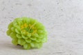 Green Zinnia candle flower