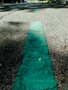 Green zone of regulated parking in a street of the city of Madrid