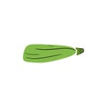 Green zucchini courgette vegetable marrow with black line isolated on white background. Hand drawn vector simple doodle