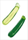 Green zucchini