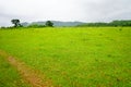 Greenary Mountain Valley of Daringbadi in Odisha Royalty Free Stock Photo