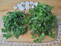 Greenary wild plants, Cow parsley and goutweed on table Royalty Free Stock Photo