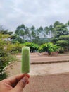 Greenbeans Ice Cream stick in a modern farm in Bogor, Indonesia