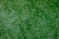 Greened color carpet texture - Green carpet Royalty Free Stock Photo