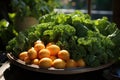 Greened, green and carrots kale in a bowl on m Royalty Free Stock Photo