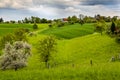 Greeneries and fields on a hill in Germany Royalty Free Stock Photo